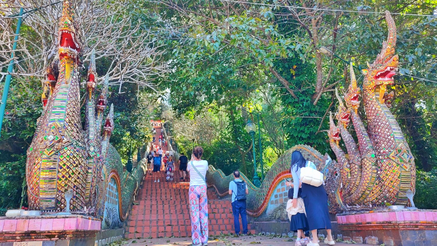 Naga-Schlangen Treppe zum Doi Suthep