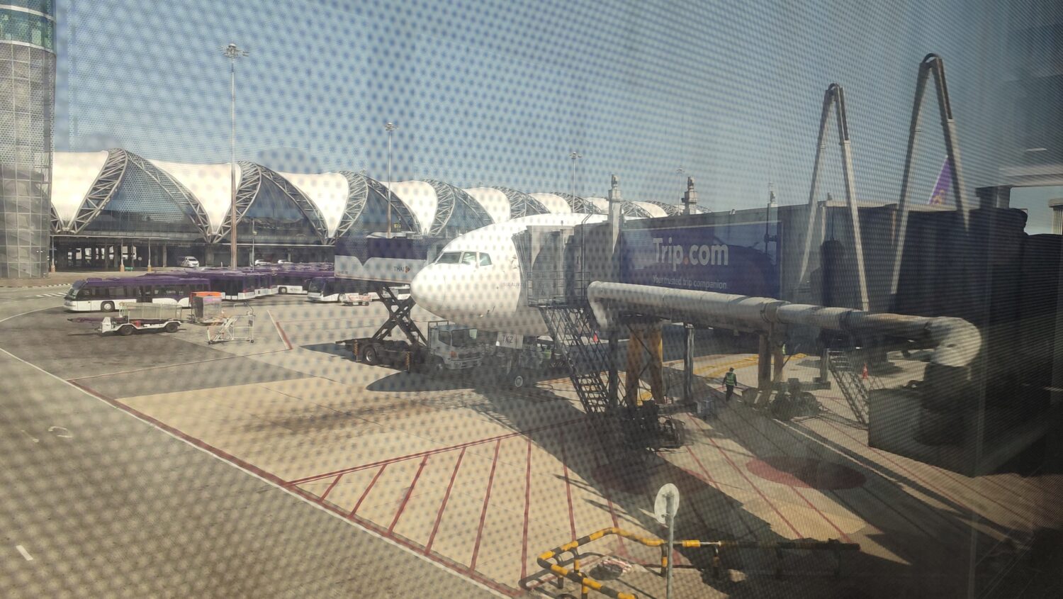 IMG_20251231_072430_1