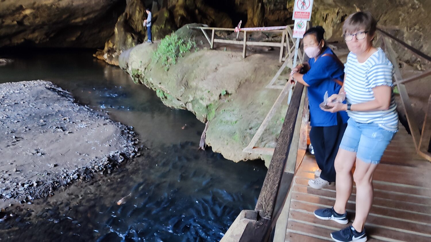 gefräßige Welse im Fluss