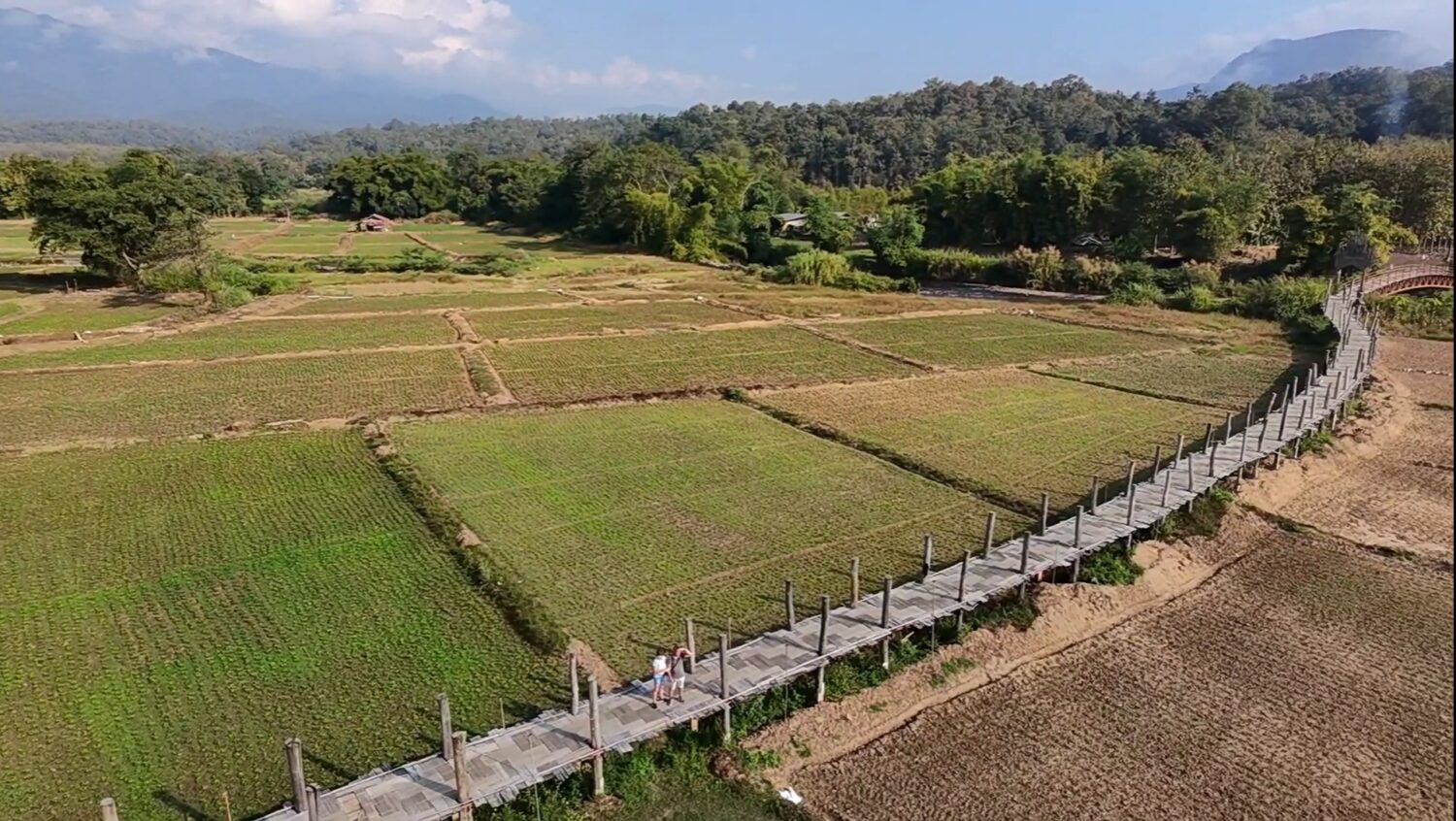 Screenshot_2026-01-14-19-24-33-572_com.miui.gallery-edit