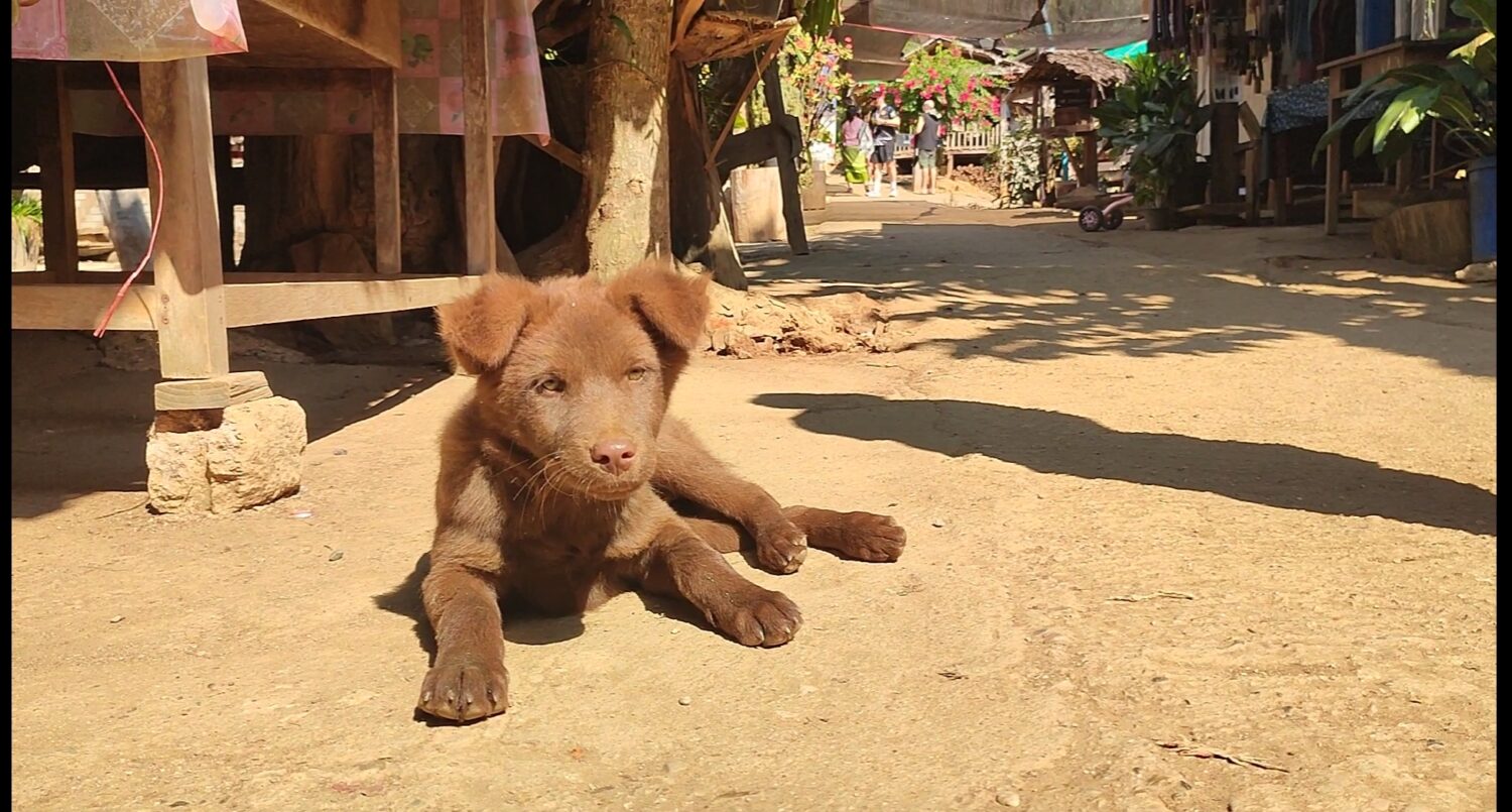 Screenshot_2026-01-14-19-39-11-644_com.miui.gallery-edit