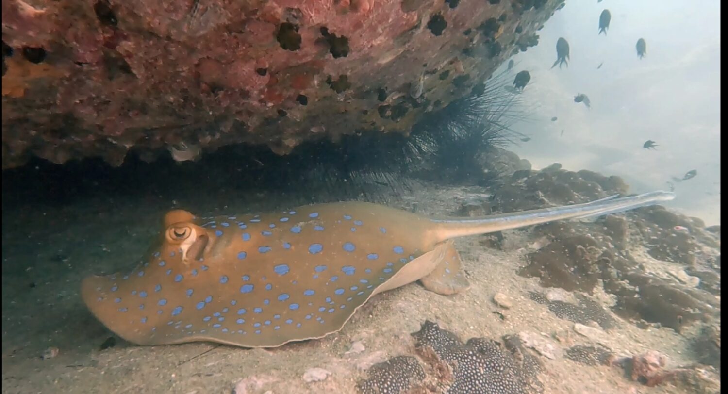 Screenshot_2026-02-10-19-19-11-341_com.miui.gallery-edit